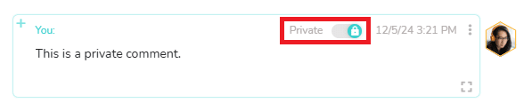 Turn a comment into "Private"