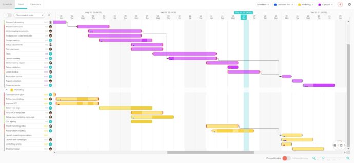 Multi-projects Gantt chart -Beesbusy