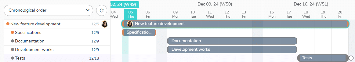 How are displayed the subtasks in the What view of the project